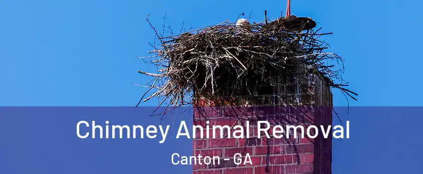  Chimney Animal Removal Canton - GA
