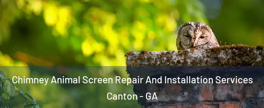 Chimney Animal Screen Repair And Installation Services Canton - GA