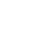 Professional Chimney Flue Installation in Canton, Georgia