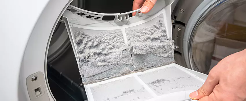Best Dryer Lint Removal Company in Canton, Georgia