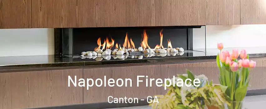  Napoleon Fireplace Canton - GA